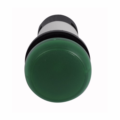 C22-L-G-24