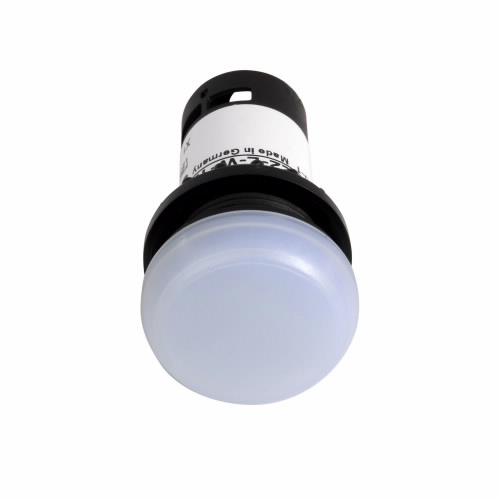 C22-L-W-24