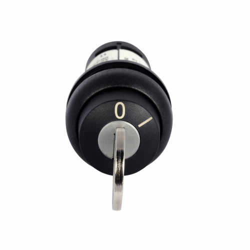 C22S-WS-MS7-K01