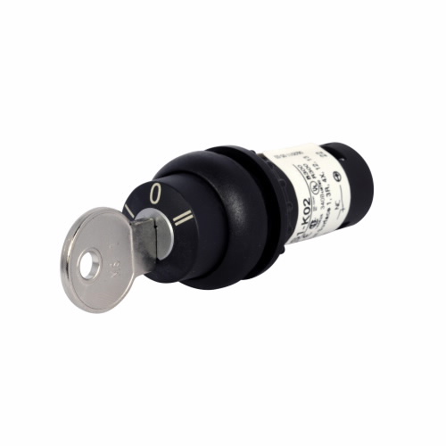C22-WS3-MS1-K02