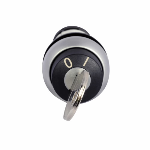 C22-WS-MS2-K20