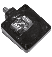 IPG-G4-B7-V15